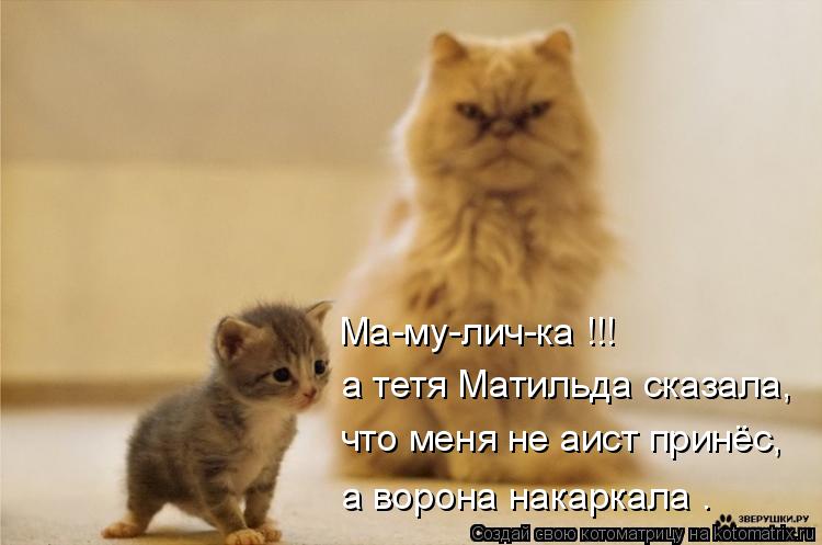 а тетя Матильда сказала, что меня не аист принёс, Ма-му-лич-ка !!! а ворона накаркала .... Котоматрица: а тетя Матильда сказала, что меня не аист принёс, Ма-му-лич-ка !!! а ворона накаркала .