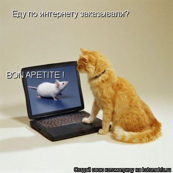 Еду по интернету заказывали? BON APETITE !... Котоматрица: Еду по интернету заказывали? BON APETITE !