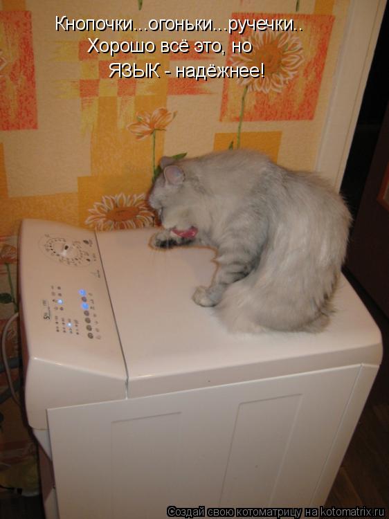Кнопочки...огоньки...ручечки.. Хорошо всё это, но ЯЗЫК - надёжнее!... Котоматрица: Кнопочки...огоньки...ручечки.. Хорошо всё это, но ЯЗЫК - надёжнее!
