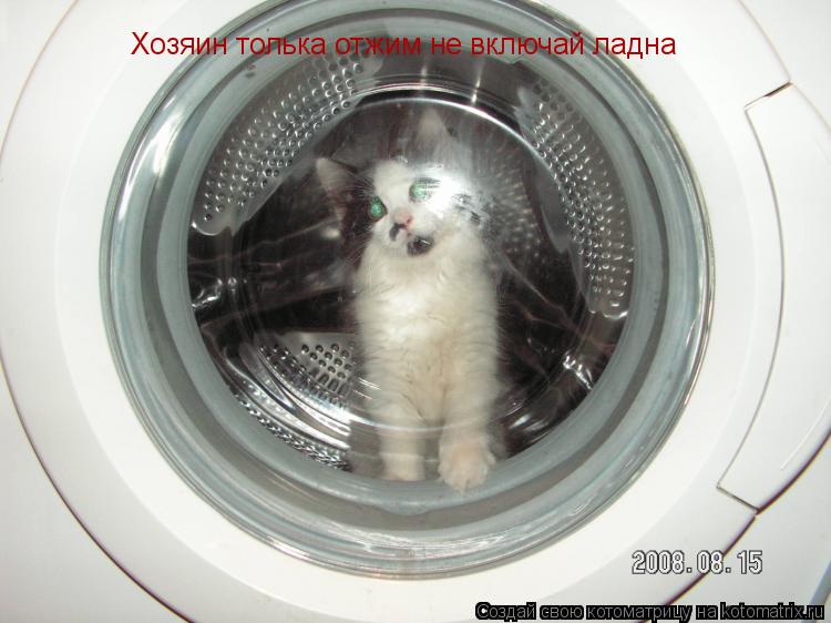 Хозяин толька отжим не включай ладна... Котоматрица: Хозяин толька отжим не включай ладна