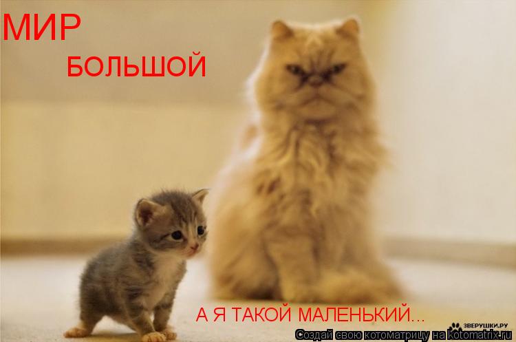 МИР БОЛЬШОЙ А Я ТАКОЙ МАЛЕНЬКИЙ...... Котоматрица: МИР БОЛЬШОЙ А Я ТАКОЙ МАЛЕНЬКИЙ...