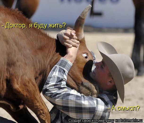 - Доктор, я буду жить? - А смысл?... Котоматрица: - Доктор, я буду жить? - А смысл?