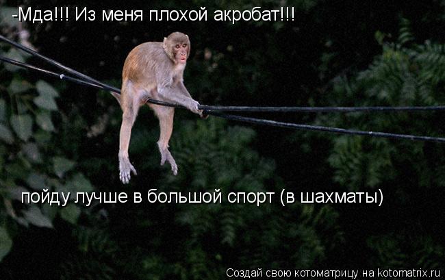 -Мда!!! Из меня плохой акробат!!! пойду лучше в большой спорт (в шахматы)... Котоматрица: -Мда!!! Из меня плохой акробат!!! пойду лучше в большой спорт (в шахматы)