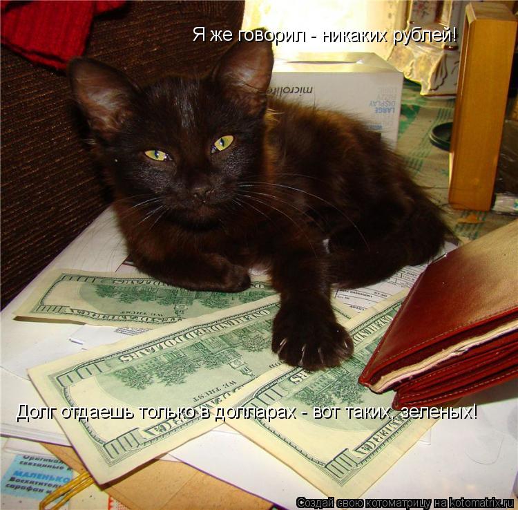 Котоматрица: Я же говорил - никаких рублей! Долг отдаешь только в долларах - вот таких, зеленых!