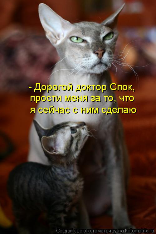 - Дорогой доктор Спок, прости меня за то, что я сейчас с ним сделаю... Котоматрица: - Дорогой доктор Спок, прости меня за то, что я сейчас с ним сделаю