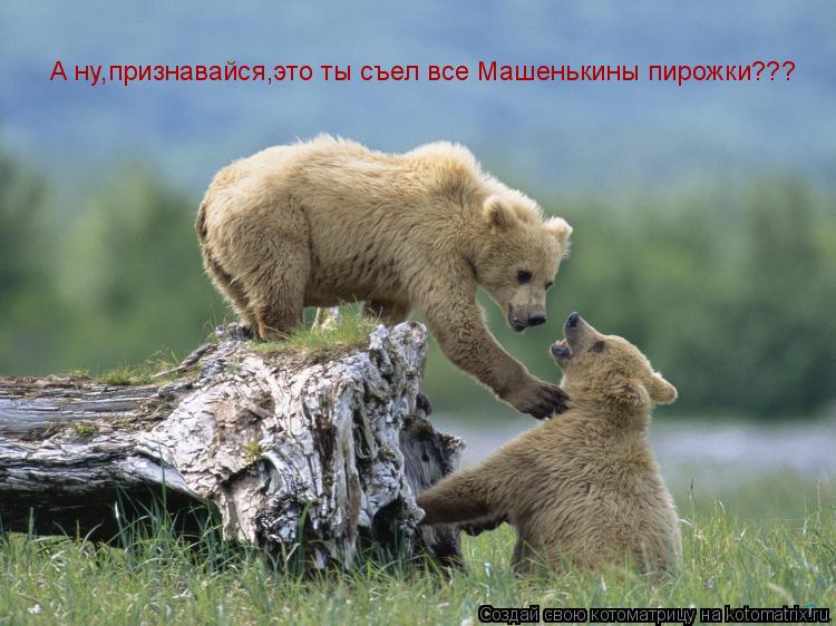 А ну,признавайся,это ты съел все Машенькины пирожки???... Котоматрица: А ну,признавайся,это ты съел все Машенькины пирожки???