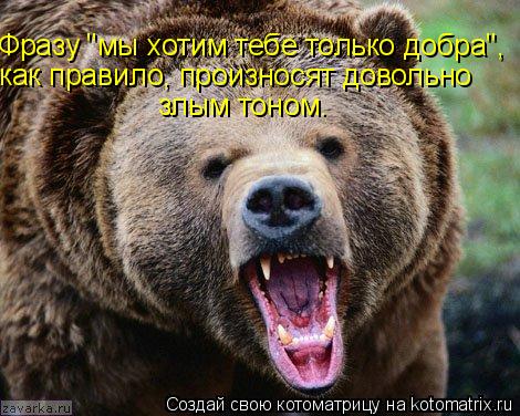 Фразу "мы хотим тебе только добра", как правило, произносят довольно злым тоном.... Котоматрица: Фразу "мы хотим тебе только добра", как правило, произносят довольно злым тоном.