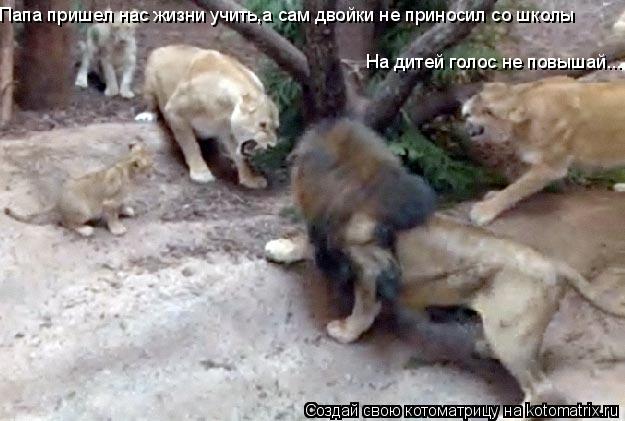 Папа пришел нас жизни учить,а сам двойки не приносил со школы На дитей голос не повышай...... Котоматрица: Папа пришел нас жизни учить,а сам двойки не приносил со школы На дитей голос не повышай...