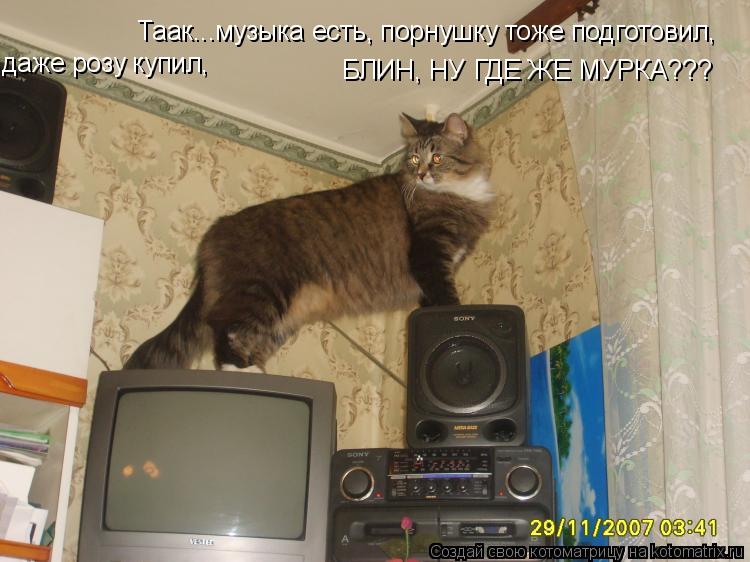 Таак...музыка есть, порнушку тоже подготовил, даже розу купил, БЛИН, НУ ГДЕ ЖЕ МУРКА???... Котоматрица: Таак...музыка есть, порнушку тоже подготовил, даже розу купил, БЛИН, НУ ГДЕ ЖЕ МУРКА???
