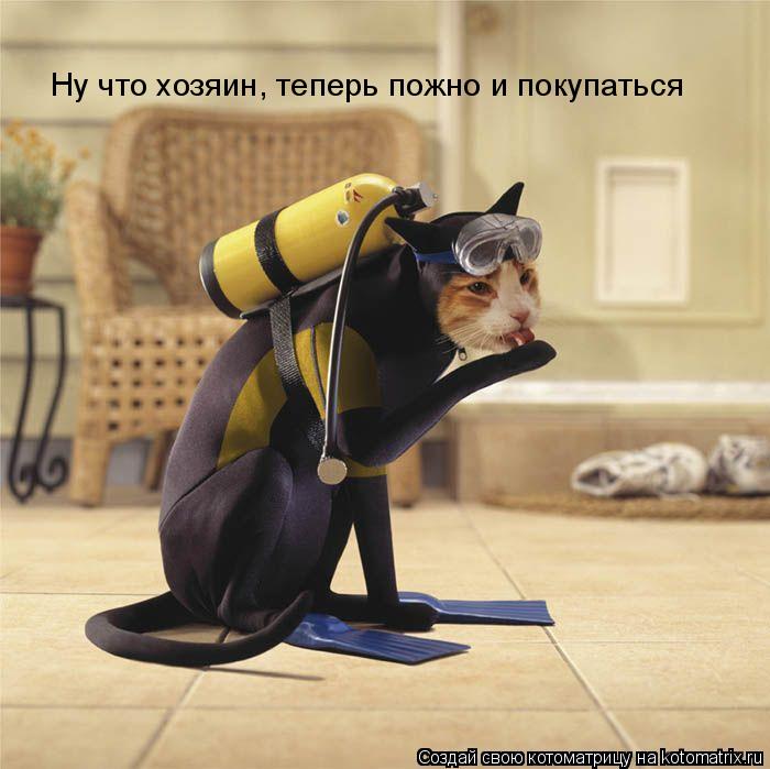Ну что хозяин, теперь пожно и покупаться... Котоматрица: Ну что хозяин, теперь пожно и покупаться