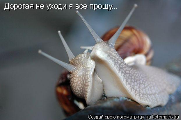 Дорогая не уходи я все прощу...... Котоматрица: Дорогая не уходи я все прощу...
