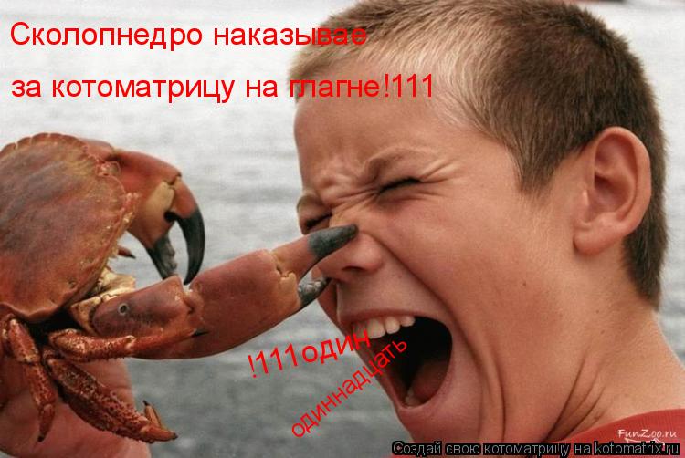 Сколопнедро наказывае за котоматрицу на глагне!111 !111один одиннадцать... Котоматрица: Сколопнедро наказывае за котоматрицу на глагне!111 !111один одиннадцать