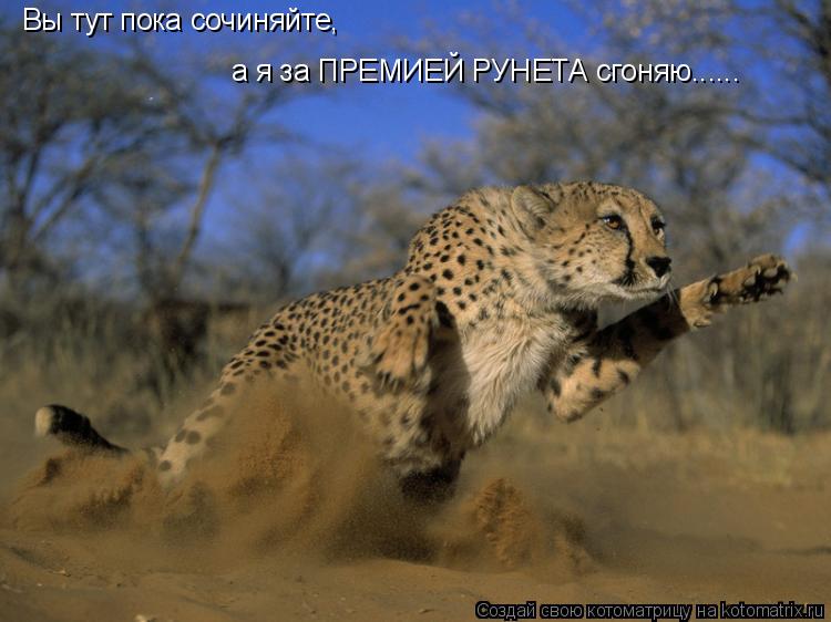 Вы тут пока сочиняйте, а я за ПРЕМИЕЙ РУНЕТА сгоняю......... Котоматрица: Вы тут пока сочиняйте, а я за ПРЕМИЕЙ РУНЕТА сгоняю......