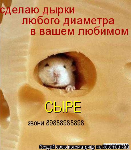 сделаю дырки любого диаметра в вашем любимом СЫРЕ звони:89888988898... Котоматрица: сделаю дырки любого диаметра в вашем любимом СЫРЕ звони:89888988898