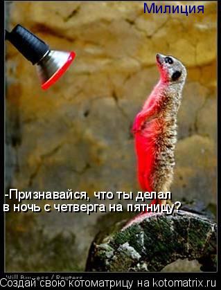 Милиция -Признавайся, что ты делал в ночь с четверга на пятницу?... Котоматрица: Милиция -Признавайся, что ты делал в ночь с четверга на пятницу?