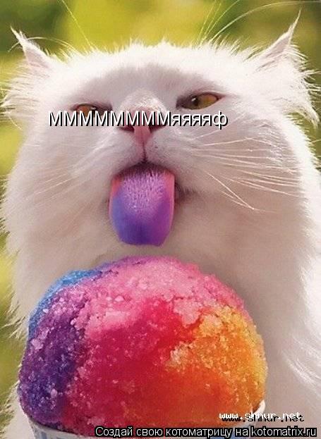 ММММММММяяяяф... Котоматрица: ММММММММяяяяф