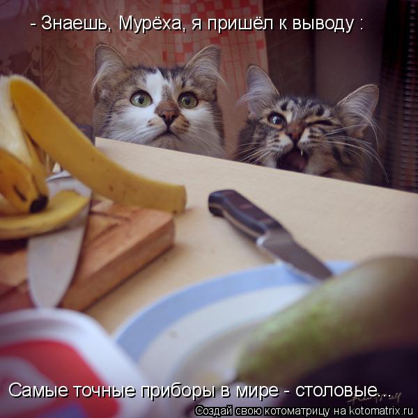 - Знаешь, Мурёха, я пришёл к выводу : Самые точные приборы в мире - столовые...... Котоматрица: - Знаешь, Мурёха, я пришёл к выводу : Самые точные приборы в мире - столовые...