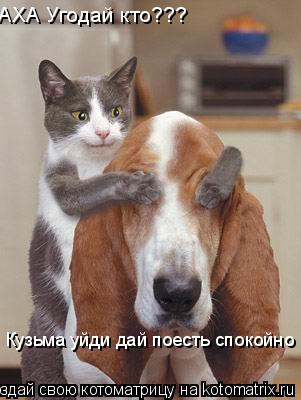 АХА Угодай кто??? Кузьма уйди дай поесть спокойно... Котоматрица: АХА Угодай кто??? Кузьма уйди дай поесть спокойно
