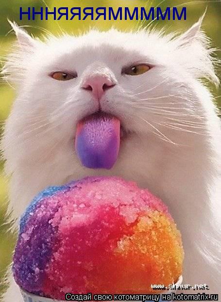 ннняяяяммммм... Котоматрица: ннняяяяммммм