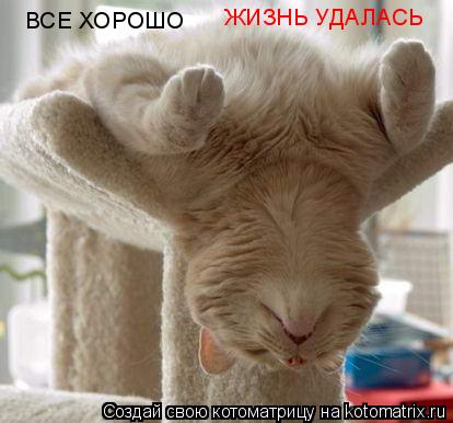 ВСЕ ХОРОШО ЖИЗНЬ УДАЛАСЬ... Котоматрица: ВСЕ ХОРОШО ЖИЗНЬ УДАЛАСЬ