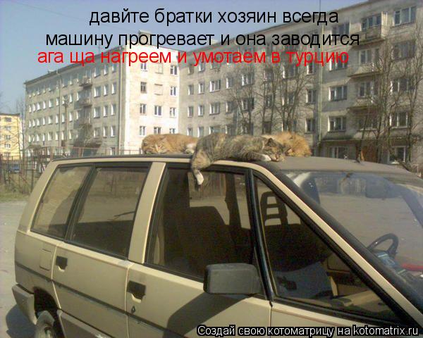 давйте братки хозяин всегда машину прогревает и она заводится ага ща нагреем и умотаем в турцию... Котоматрица: давйте братки хозяин всегда машину прогревает и она заводится ага ща нагреем и умотаем в турцию
