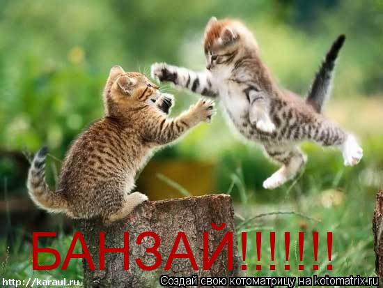 БАНЗАЙ!!!!!!!... Котоматрица: БАНЗАЙ!!!!!!!