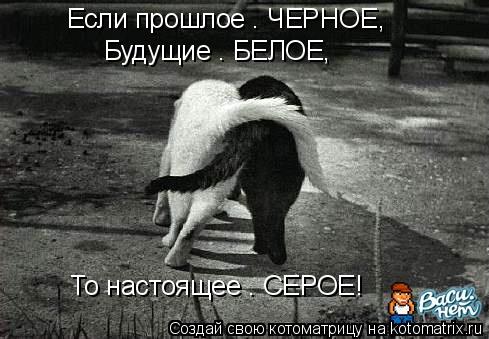 Если прошлое – ЧЕРНОЕ, Будущие – БЕЛОЕ, То настоящее – СЕРОЕ!... Котоматрица: Если прошлое – ЧЕРНОЕ, Будущие – БЕЛОЕ, То настоящее – СЕРОЕ!