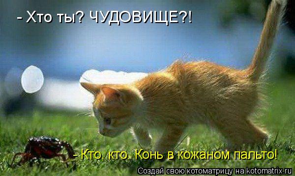 - Хто ты? ЧУДОВИЩЕ?! - Кто, кто. Конь в кожаном пальто!... Котоматрица: - Хто ты? ЧУДОВИЩЕ?! - Кто, кто. Конь в кожаном пальто!