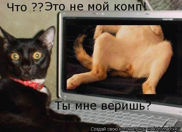Что ?? Это не мой комп! Ты мне веришь?... Котоматрица: Что ?? Это не мой комп! Ты мне веришь?