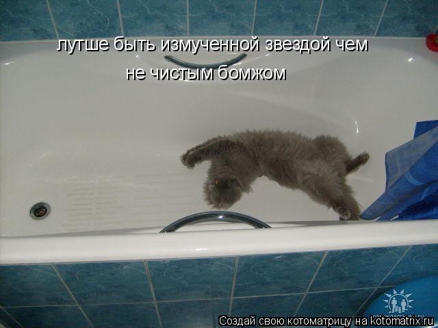 лутше быть измученной звездой чем не чистым бомжом... Котоматрица: лутше быть измученной звездой чем не чистым бомжом