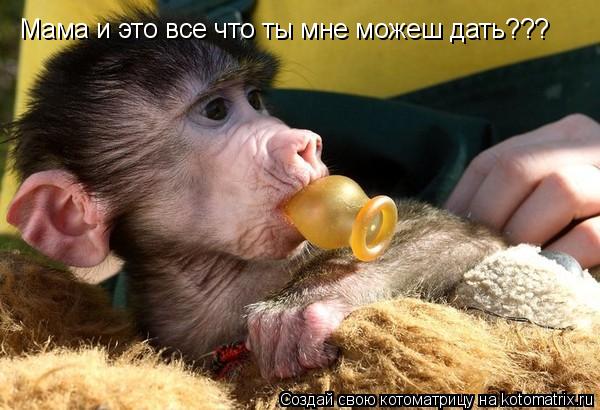 Мама и это все что ты мне можеш дать???... Котоматрица: Мама и это все что ты мне можеш дать???