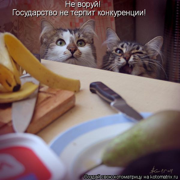 Не воруй! Государство не терпит конкуренции!... Котоматрица: Не воруй! Государство не терпит конкуренции!