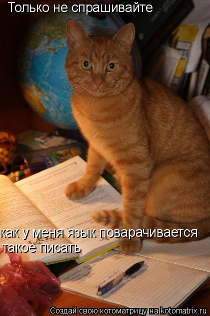Только не спрашивайте как у меня язык поварачивается такое писать... Котоматрица: Только не спрашивайте как у меня язык поварачивается такое писать