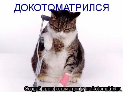 ДОКОТОМАТРИЛСЯ... Котоматрица: ДОКОТОМАТРИЛСЯ