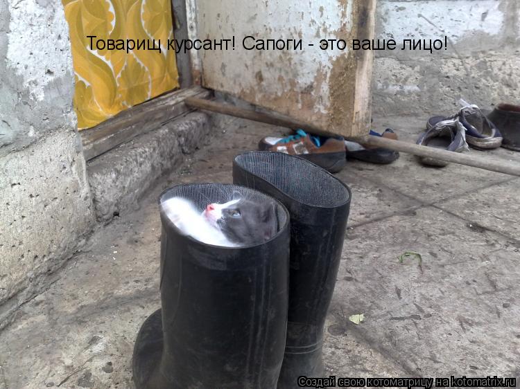 Товарищ курсант! Сапоги - это ваше лицо!... Котоматрица: Товарищ курсант! Сапоги - это ваше лицо!