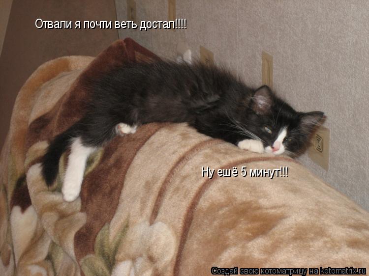 Отвали я почти веть достал!!!! Ну ешё 5 минут!!!... Котоматрица: Отвали я почти веть достал!!!! Ну ешё 5 минут!!!