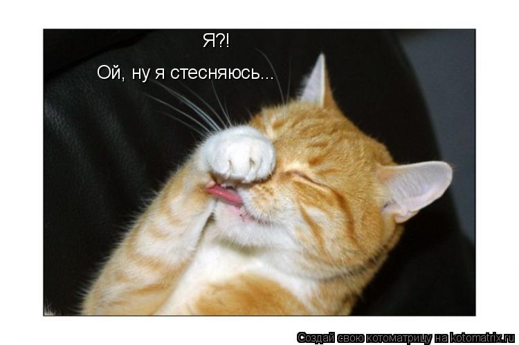 Я?! Ой, ну я стесняюсь...... Котоматрица: Я?! Ой, ну я стесняюсь...