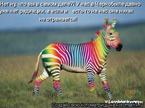 Нет ну, что вы в самом деле?! У нас в Чернобыле давно уже нет радиации, а если и есть то на нас она ... Котоматрица: Нет ну, что вы в самом деле?! У нас в Чернобыле давно уже нет радиации, а если и есть то на нас она никак не отражается!