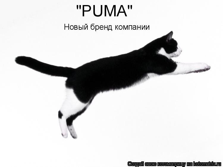 "PUMA" Новый бренд компании... Котоматрица: "PUMA" Новый бренд компании