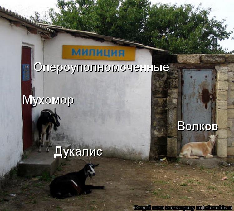 Опероуполномоченные Мухомор Дукалис Волков... Котоматрица: Опероуполномоченные Мухомор Дукалис Волков