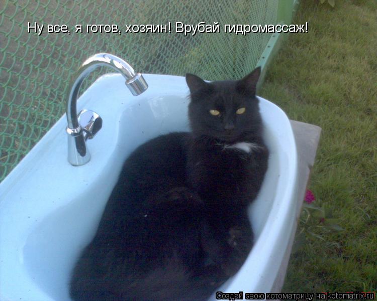 Ну все, я готов, хозяин! Врубай гидромассаж!... Котоматрица: Ну все, я готов, хозяин! Врубай гидромассаж!