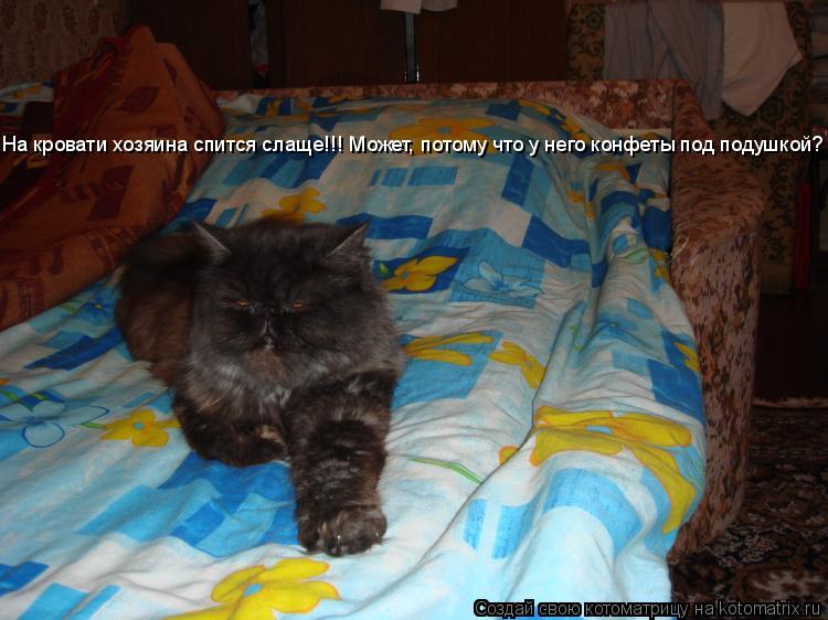 На кровати хозяина спится слаще!!! Может, потому что у него конфеты под подушкой? На кровати хозяина ... Котоматрица: На кровати хозяина спится слаще!!! Может, потому что у него конфеты под подушкой? На кровати хозяина спится слаще!!! Может, потому что у него к
