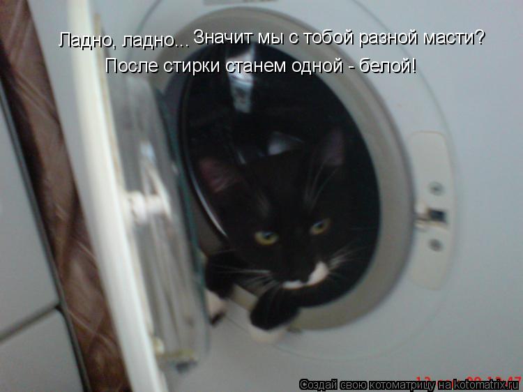 Ладно, ладно... Значит мы с тобой разной масти? После стирки станем одной - белой!... Котоматрица: Ладно, ладно... Значит мы с тобой разной масти? После стирки станем одной - белой!