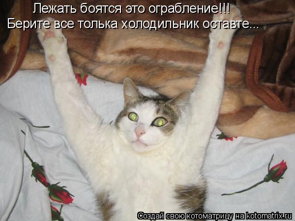 Котоматрица: Лежать боятся это ограбление!!! Берите все толька холодильник оставте...