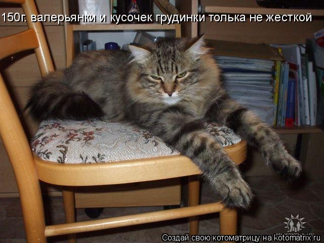 150г. валерьянки и кусочек грудинки толька не жесткой... Котоматрица: 150г. валерьянки и кусочек грудинки толька не жесткой