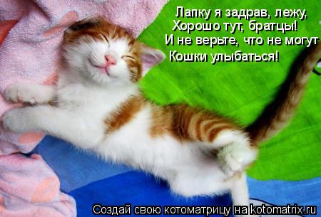 Лапку я задрав, лежу, Хорошо тут, братцы! И не верьте, что не могут Кошки улыбаться!... Котоматрица: Лапку я задрав, лежу, Хорошо тут, братцы! И не верьте, что не могут Кошки улыбаться!