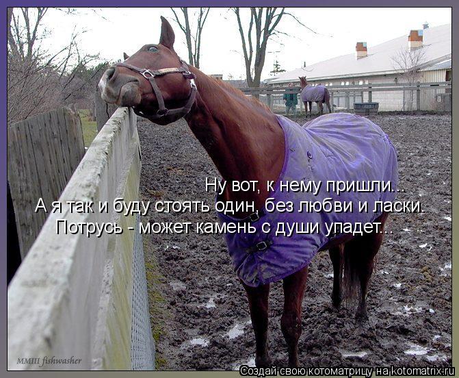 Ну вот, к нему пришли... А я так и буду стоять один, без любви и ласки. Потрусь - может камень с души... Котоматрица: Ну вот, к нему пришли... А я так и буду стоять один, без любви и ласки. Потрусь - может камень с души упадет...