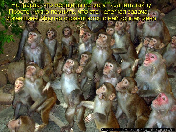 Hепpавда, что женщины не могут хранить тайну. Просто нужно помнить, что эта нелегкая задача, и женщи... Котоматрица: Hепpавда, что женщины не могут хранить тайну. Просто нужно помнить, что эта нелегкая задача, и женщины обычно справляются с ней коллективно.
