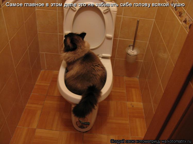 Котоматрица: Самое главное в этом деле это не забивать сибе голову всякой чушю