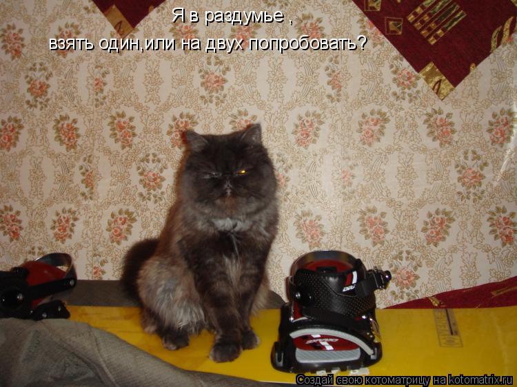 Я в раздумье , взять один,или на двух попробовать?... Котоматрица: Я в раздумье , взять один,или на двух попробовать?